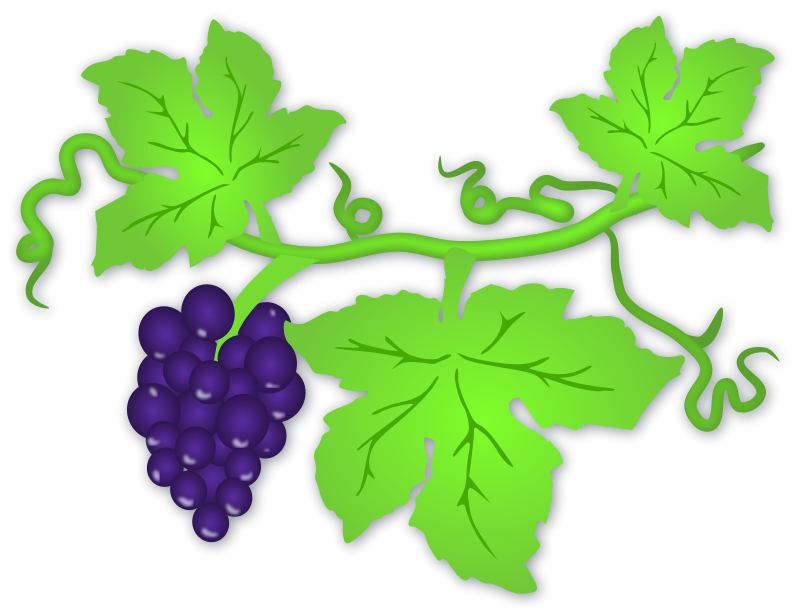 clip art grape leaves - photo #10