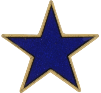 Design 77 Small Star Badge | Blue | Gold plated | Butterfly ...