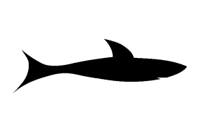 Shark Clipart