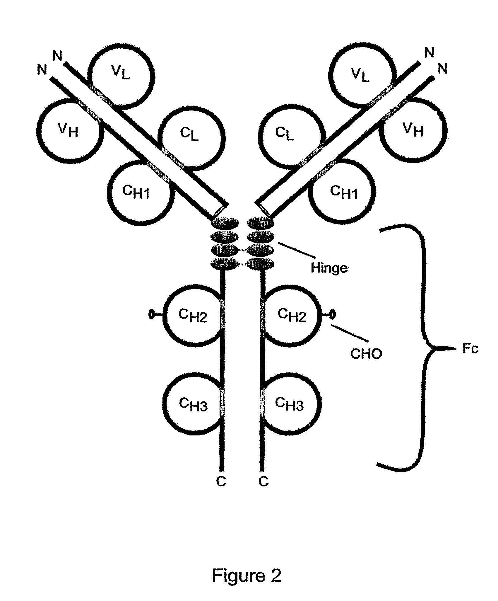 Patent US7862814 - Method of inhibiting the proliferation of B ...