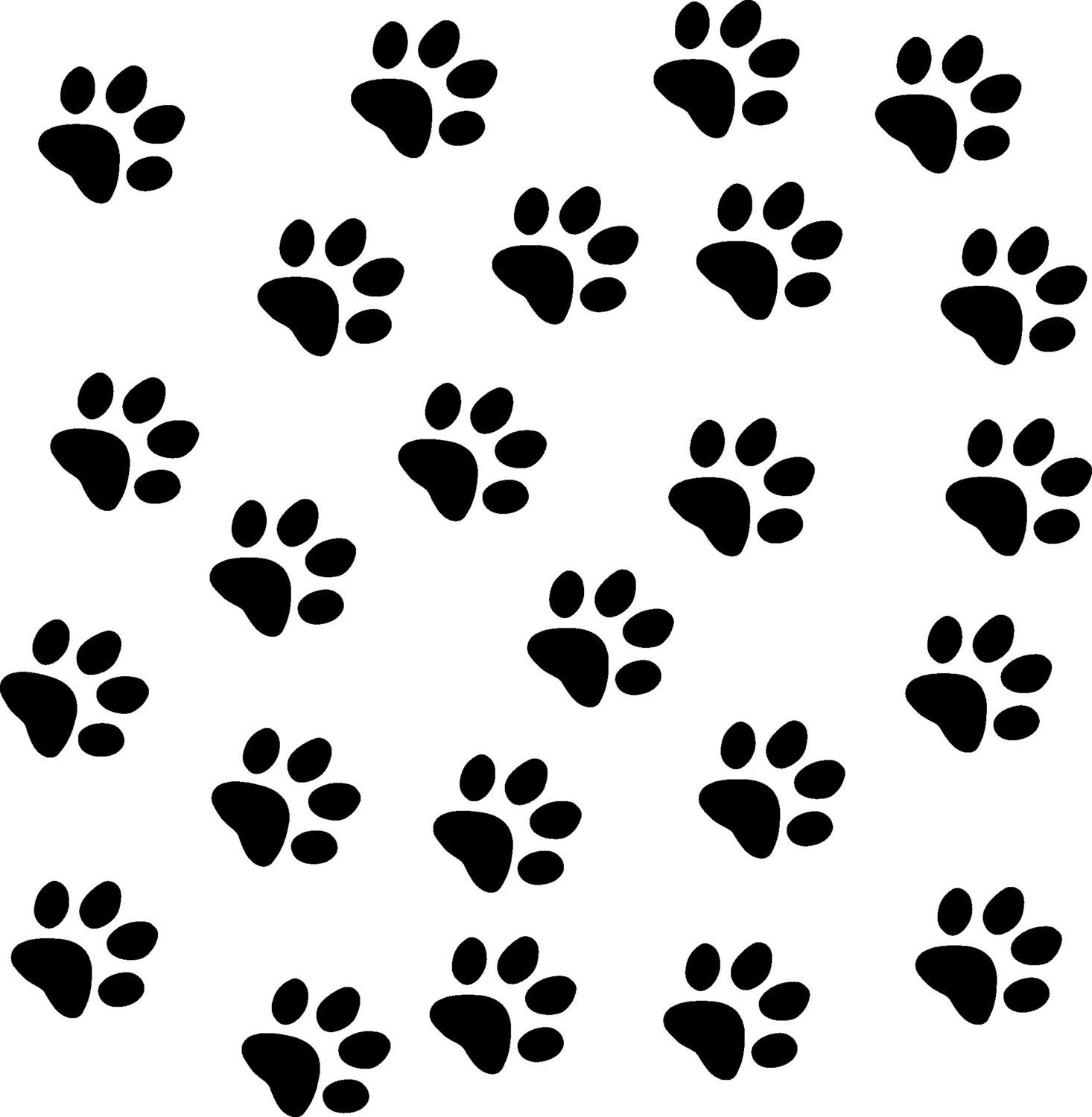 picture of a cat paw print