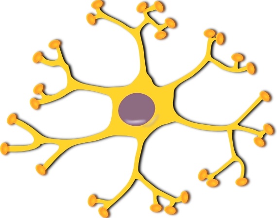 Neuron Interneuron clip art Free vector in Open office drawing svg ...