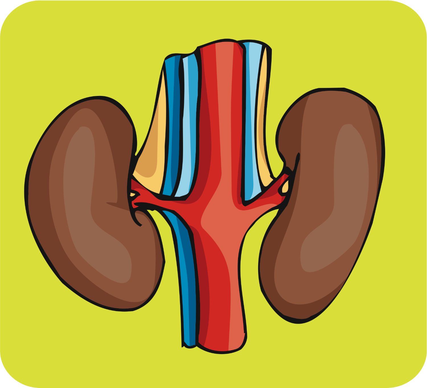 Body Organ Map - ClipArt Best