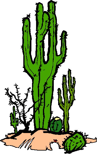 Cactus clipart image clip art a cactus with pink - Clipartix