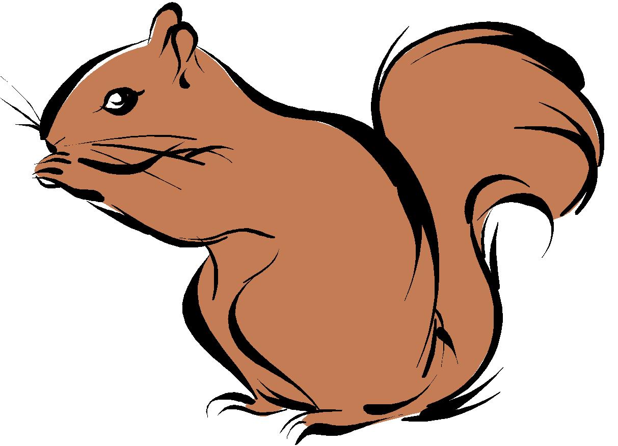 Squirrel Black And White Clipart