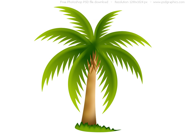 Palm Tree Png