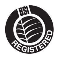 BSI REGISTERED, download BSI REGISTERED :: Vector Logos, Brand ...