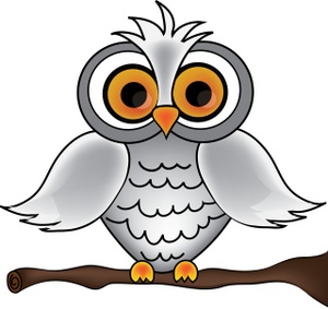 Owl Eyes Clipart