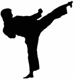 Sports: Combat Sports / Martial Arts | Image | BoardGameGeek