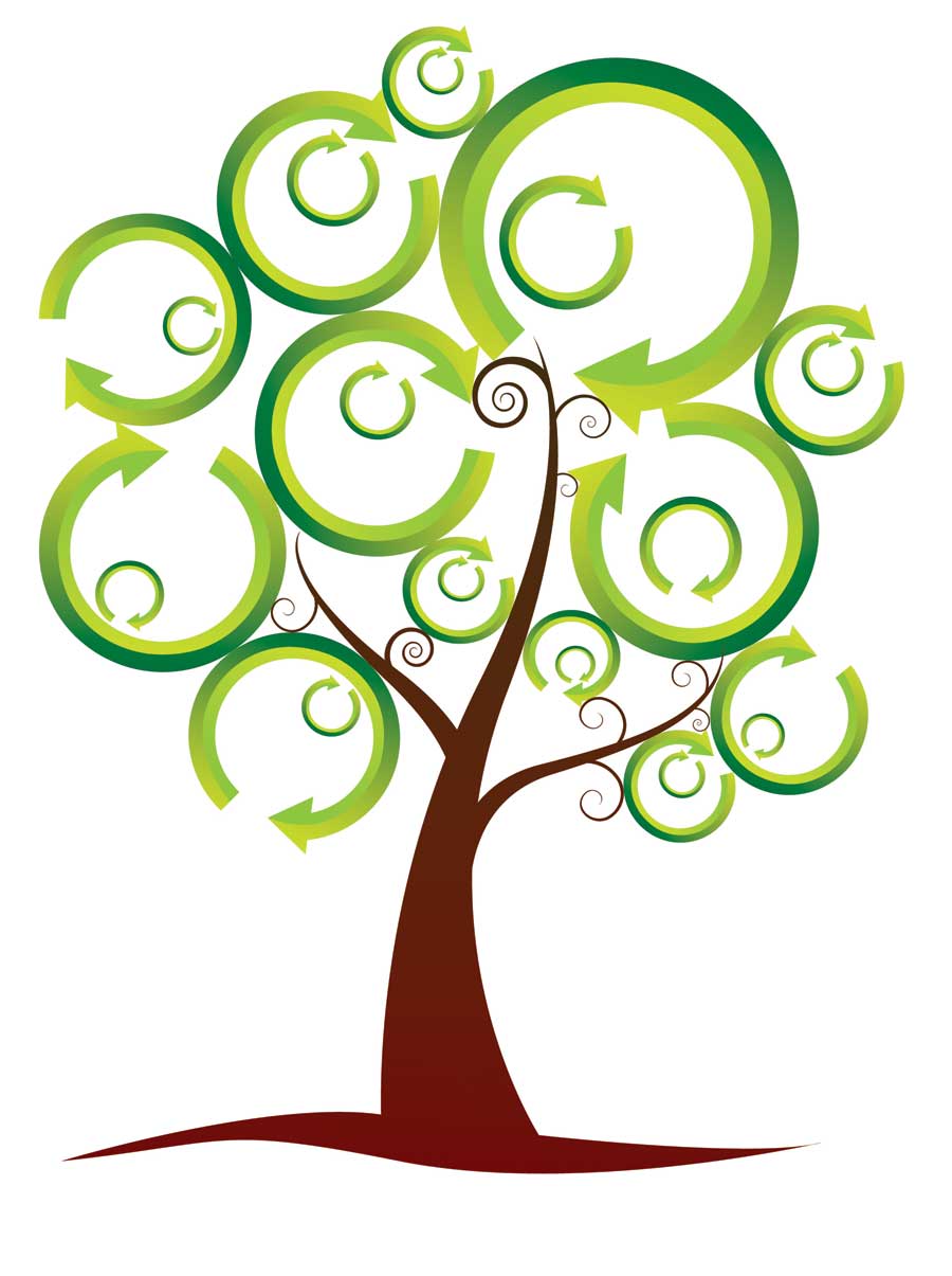 Tree Graphic - ClipArt Best