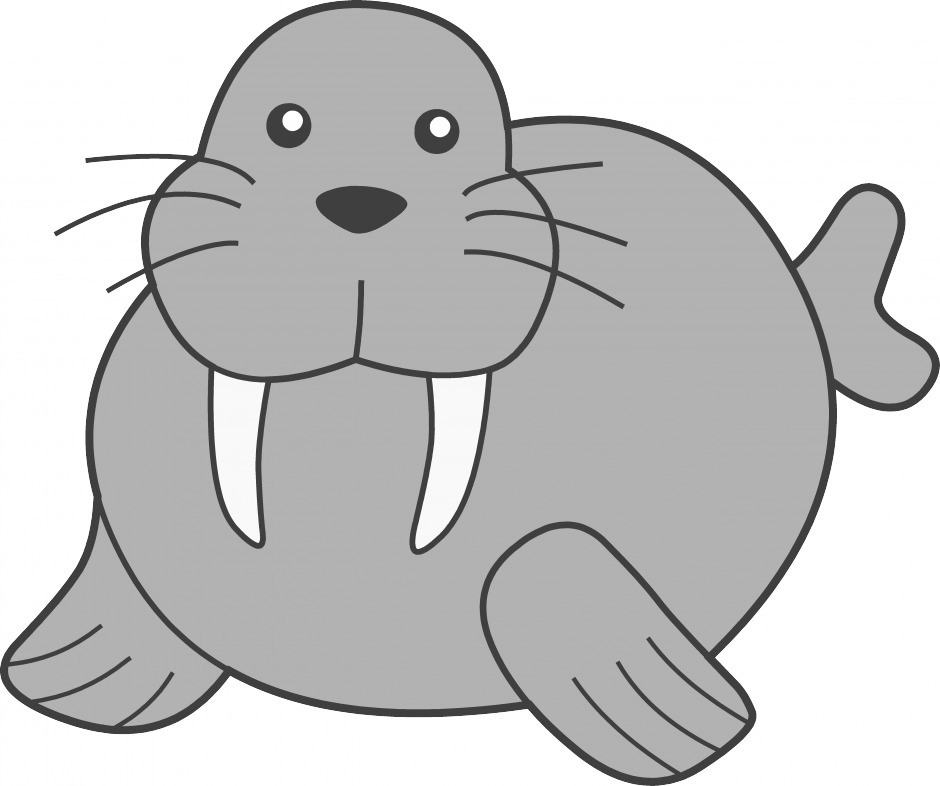 Walrus clipart pictures