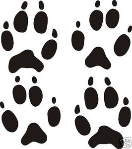 Set of four Fox TRACKS decal design