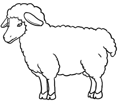 ART Drawing Of A Sheep - ClipArt Best