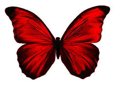 Pictures Of Red Butterflies - ClipArt Best