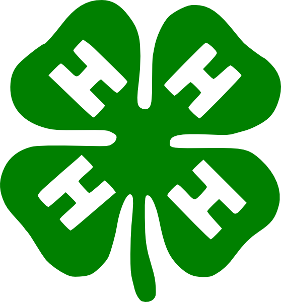 Shamrock clip art Free Vector / 4Vector