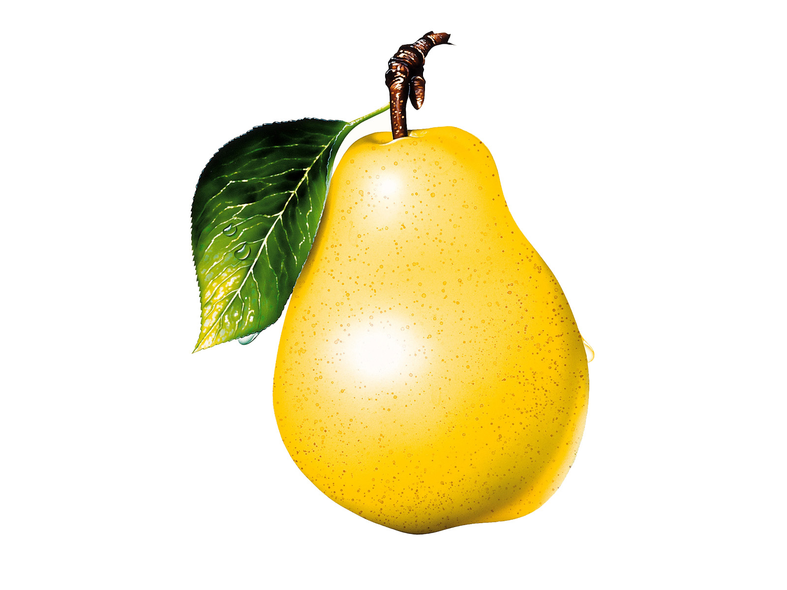 Pear Clipart - Free Clipart Images