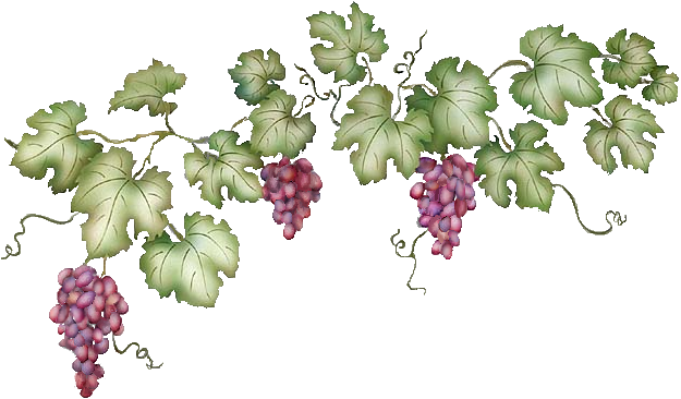 Grapevine Clip Art | Grapevines | Emma | Pinterest