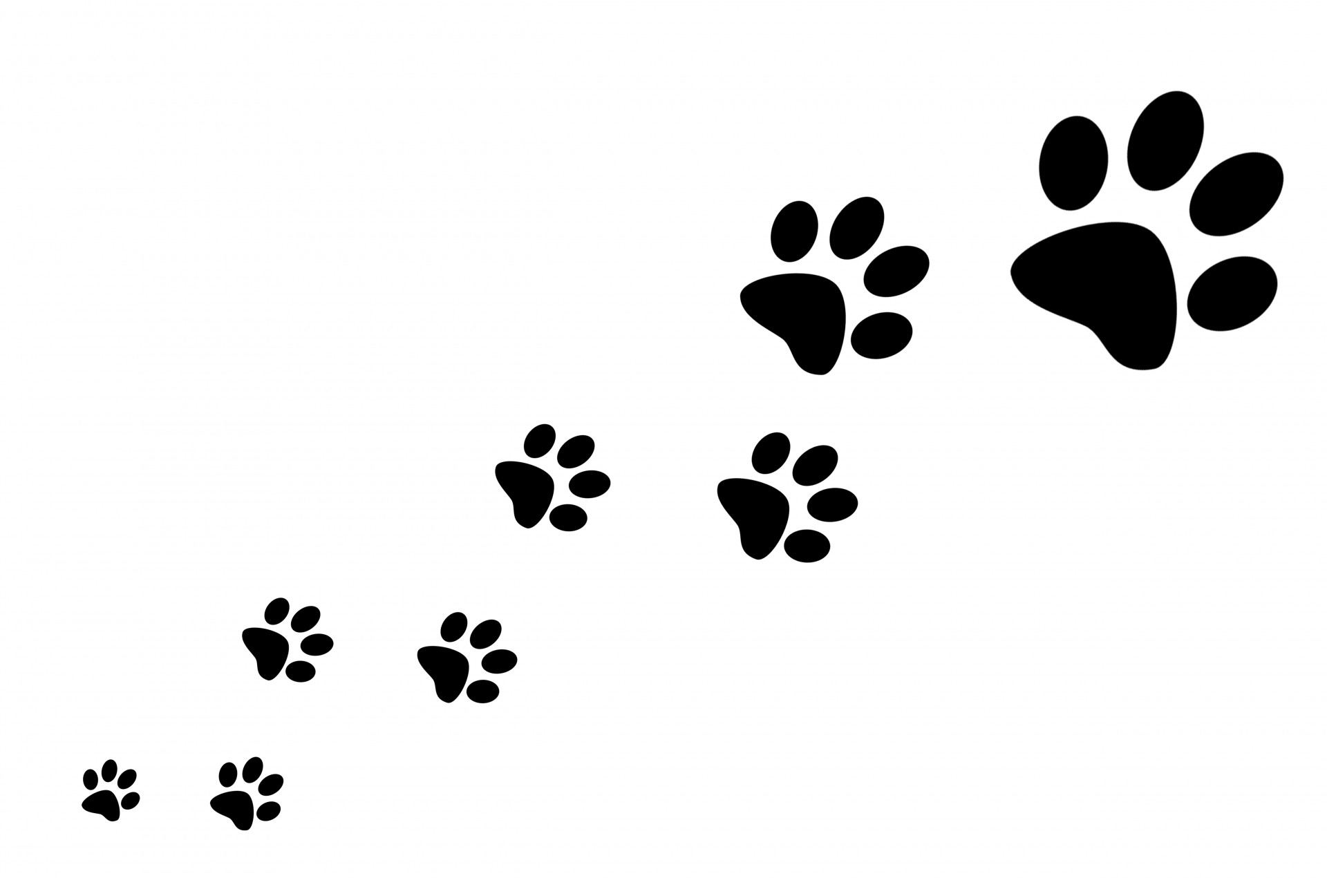 Best Photos of Paw Print Silhouette - Dog Paw Print Silhouette ...