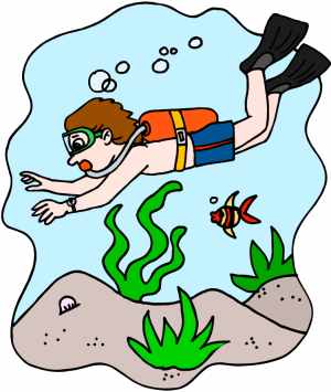 No Diving Clipart