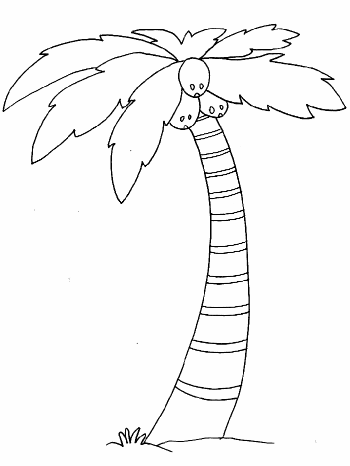 Palm Tree Template - AZ Coloring Pages