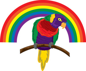Parrot Clipart Image - clip art illustration of a colorful Parrot ...