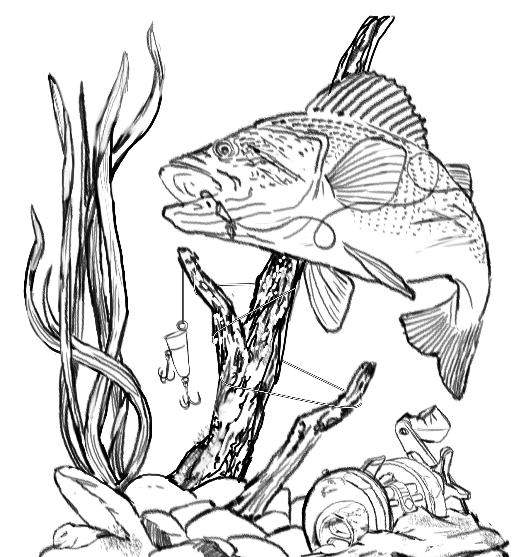 Fish Drawing Images