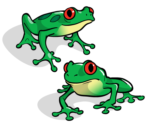 Frog Illustrations