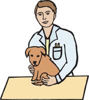 Veterinarian Clipart - Tumundografico