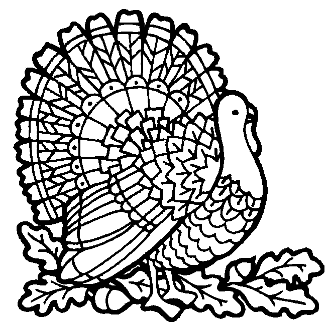 Turkey Line Art - ClipArt Best