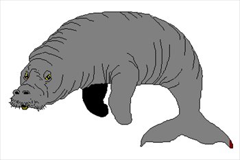 Manatee Clip Art Free - Free Clipart Images