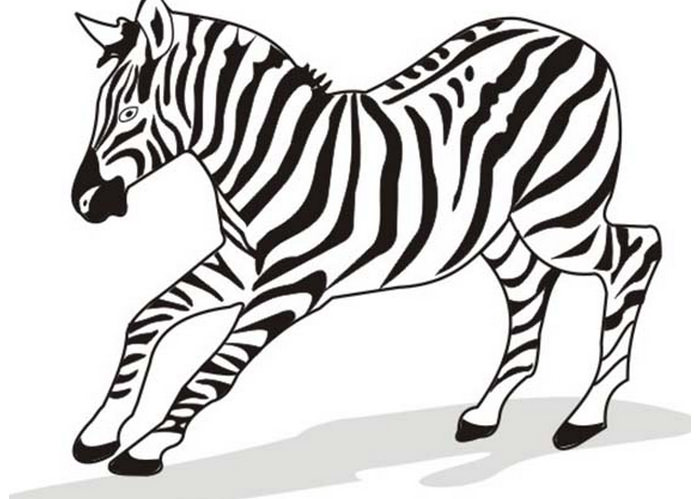 40+ Zebra Templates - Free PSD, Vector EPS, PNG Format Download ...