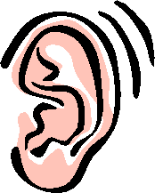 Clipart Ear Drawings - ClipArt Best