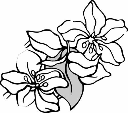 Beautiful Flower Coloring Pages With Delicate Forms of Natural ...