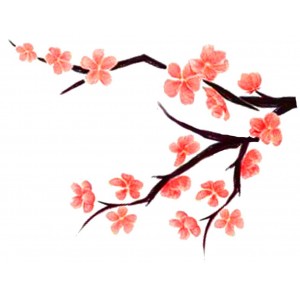 Cartoon Cherry Blossom - ClipArt Best