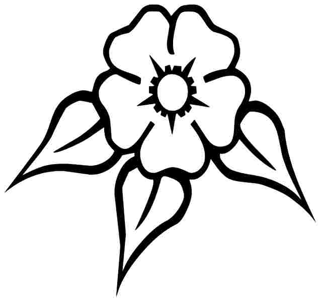 Buttercup Line Drawing - ClipArt Best