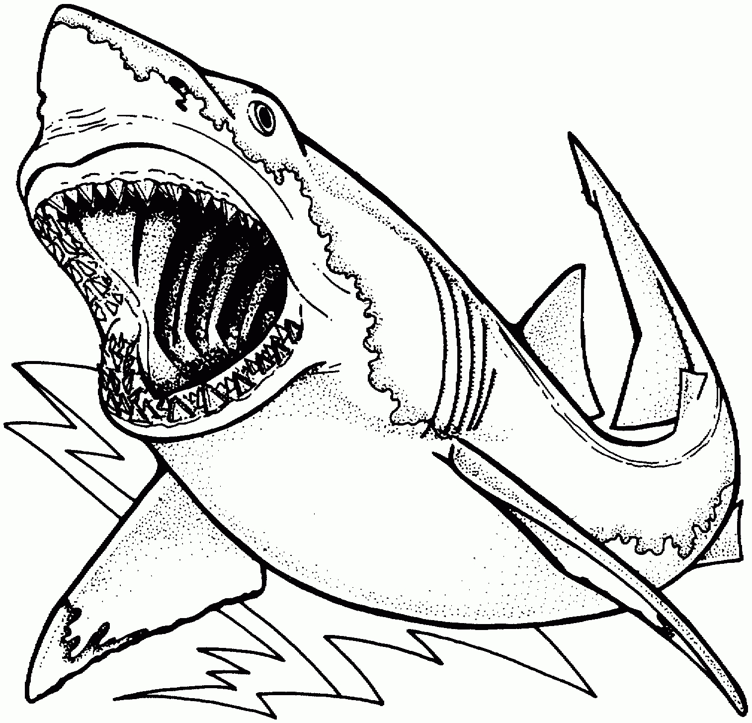 Shark Coloring Pages Printable - Kids Coloring Pages