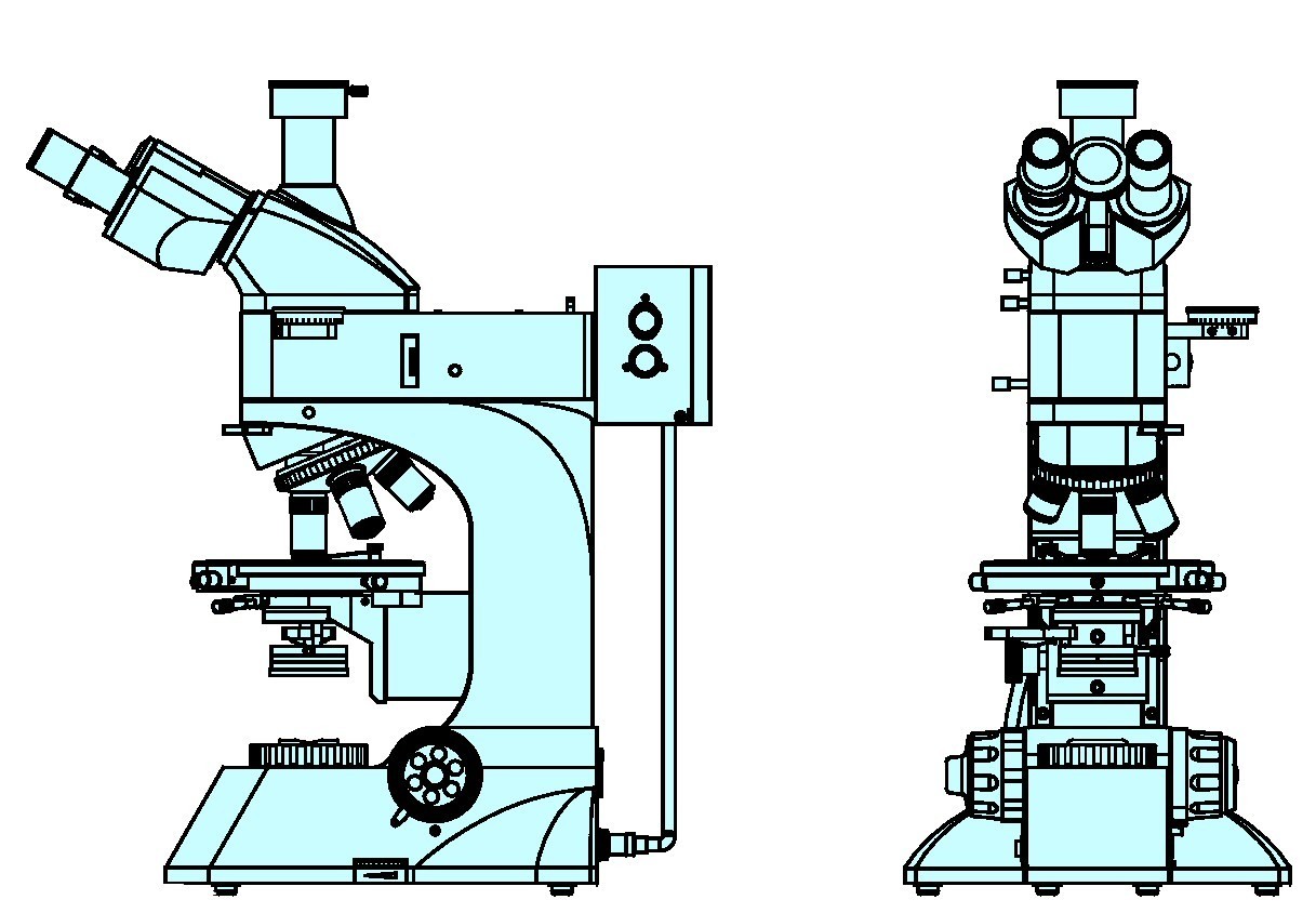 Binocular Microscope Diagram - Free Clipart Images