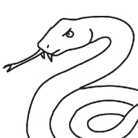 Snake Drawing - Dr. Odd