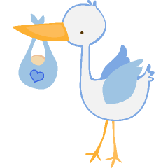 Baby Boy Stork Clipart
