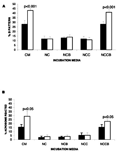 Effect of heparin on in vitro capacitation of boar sperm