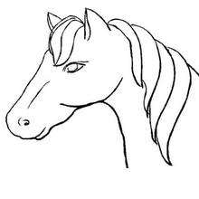 HORSE coloring pages : 51 ANIMALS of the world coloring books for ...