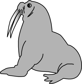 How To Draw A Sea Lion Easily - ClipArt Best