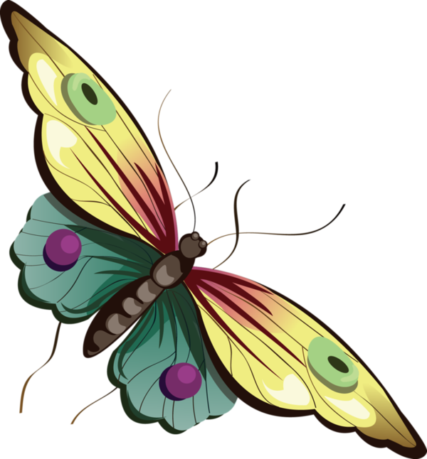 Butterfly Images Free | Free Download Clip Art | Free Clip Art ...