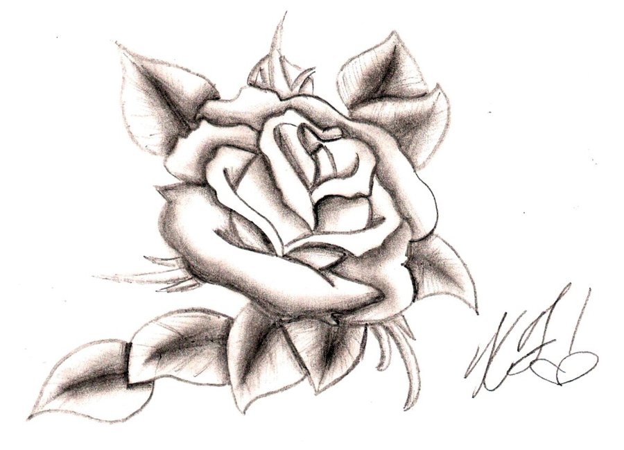 Rose With Ribbons Drawings | Free Download Clip Art | Free Clip ...