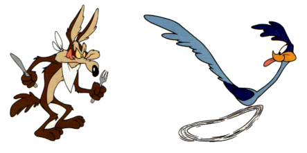 Road runner clipart