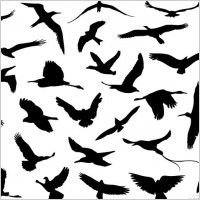 Flying birds vector Free vector for free download (about 56 files).