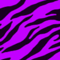 Purple Zebra Print Backgrounds Pictures, Images & Photos | Photobucket