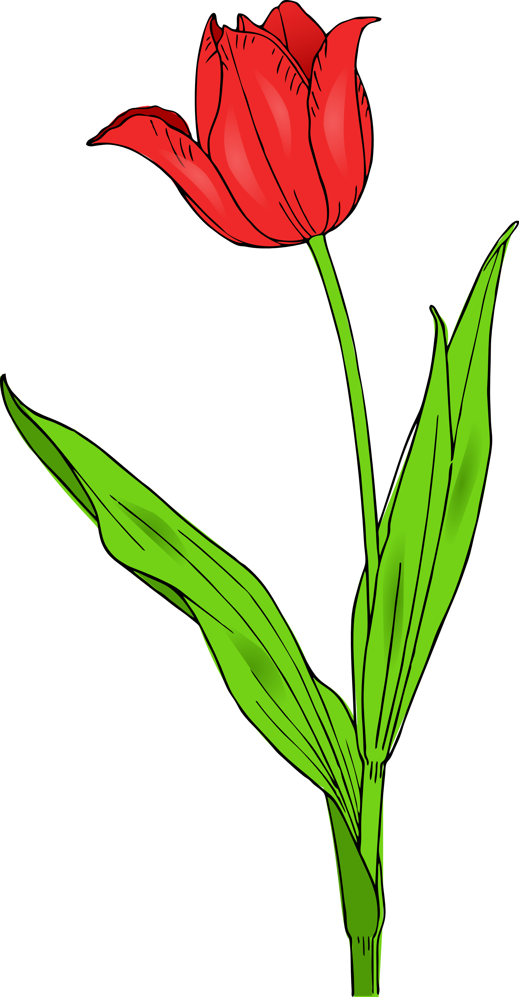 Spring Tulips Clip Art - ClipArt Best