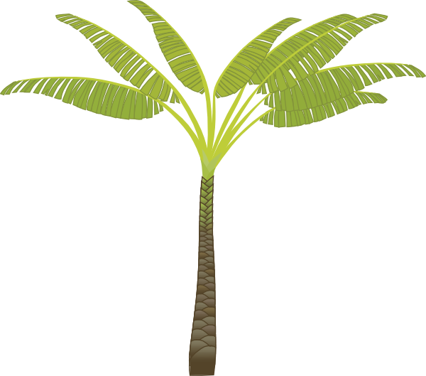 Jungle Tree Clipart