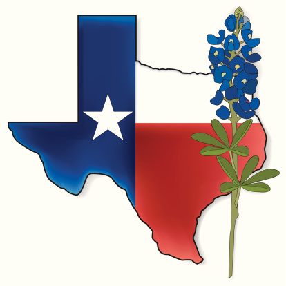 Bluebonnet Clip Art, Vector Images & Illustrations